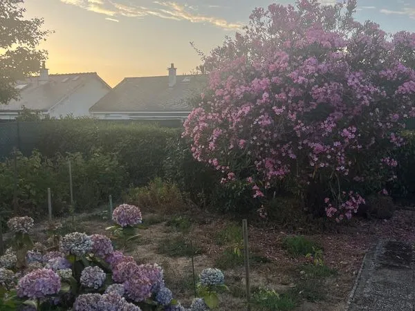 Chambre à louer dans une belle maison- 435
