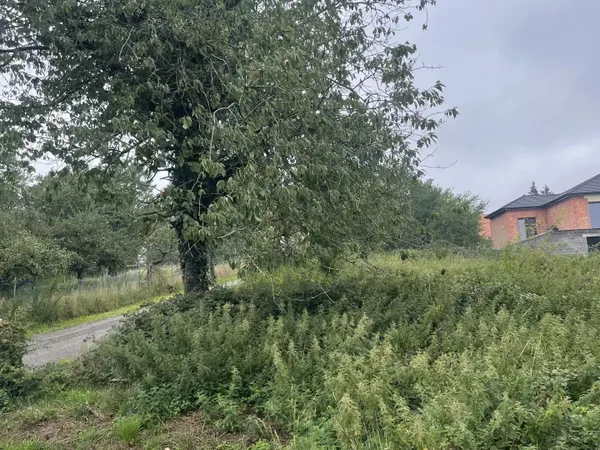 Terrain constructible d'une surface de 1105 m² à CADENBRONN