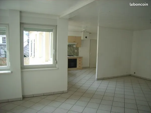 Guebwiller centre beau grand F2 de 70m2 imm.calme