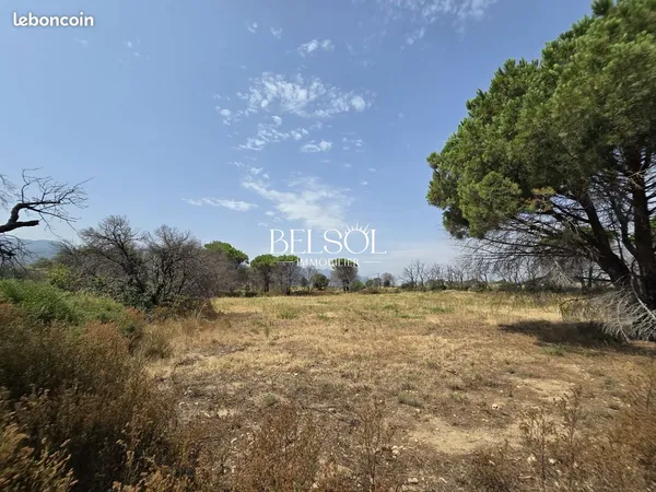 Terrain 4340 m² Argelès-sur-Mer