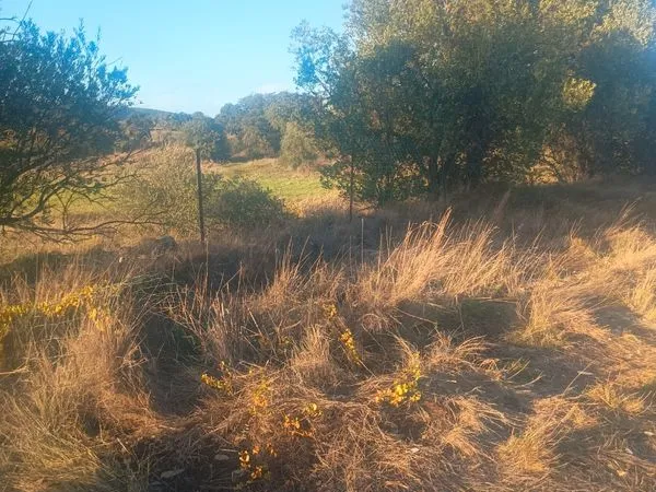 🌿 À VENDRE - TERRAIN NON CONSTRUCTIBLE DE 3 000 m² À PÉRET (HÉRAULT)