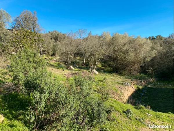 Magnifique terrain constructible avec permis purgé