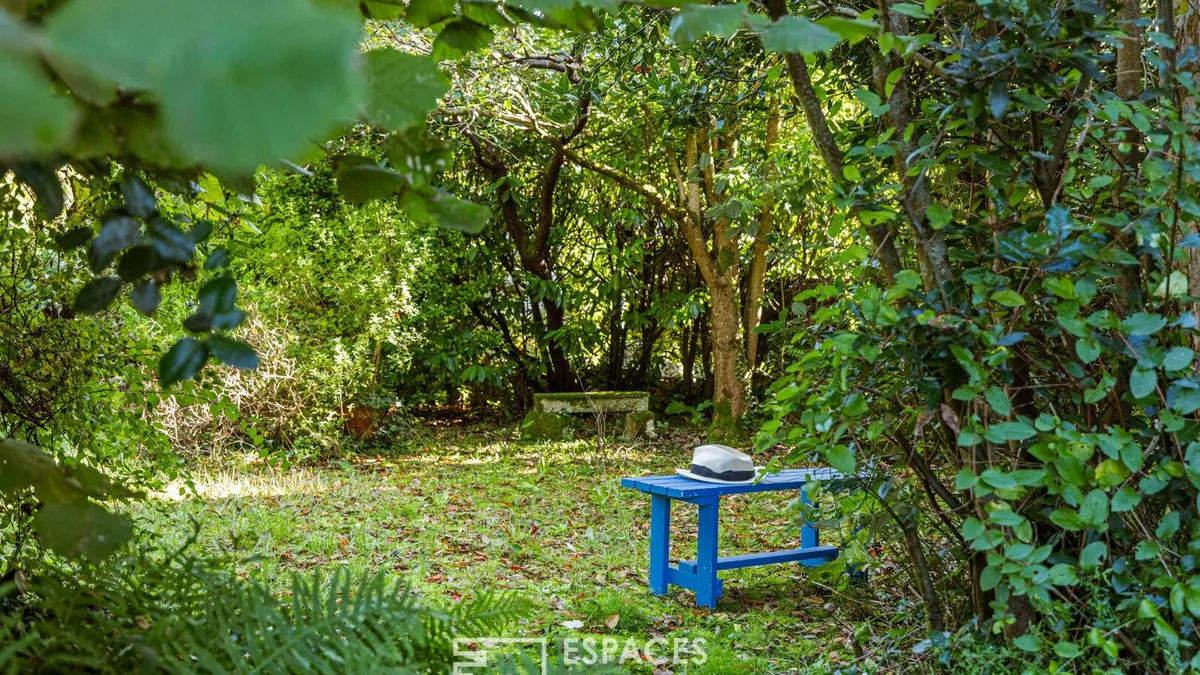 Photo 15
