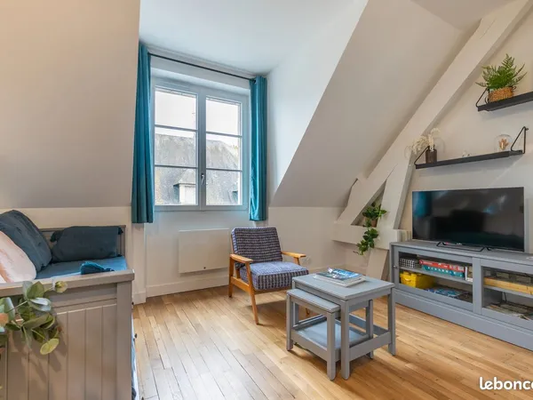 APPARTEMENT DUPLEX - Blois Vienne