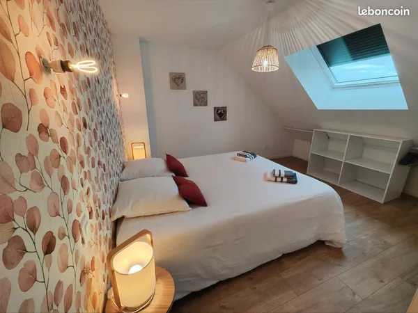 Joli T3 cosy mansardé