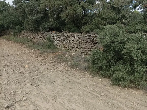Terrain de loisirs