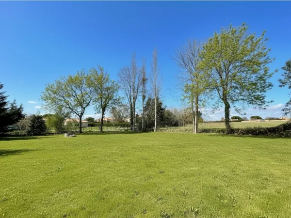 Terrain 1206 m²