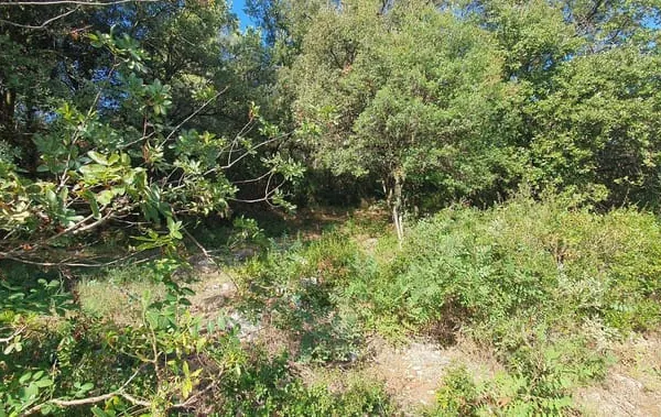 Terrain constructible 780 m²