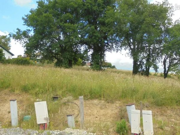 Terrain - 540m2