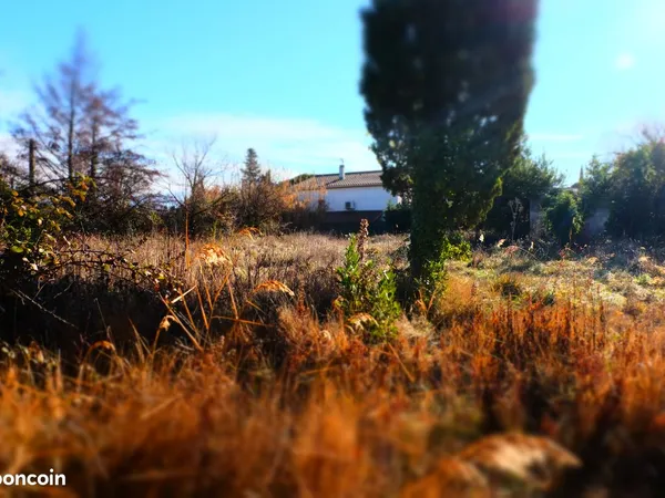 Terrain constructible