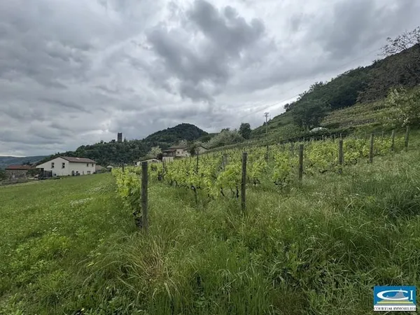 Terrain à bâtir 1130 m²