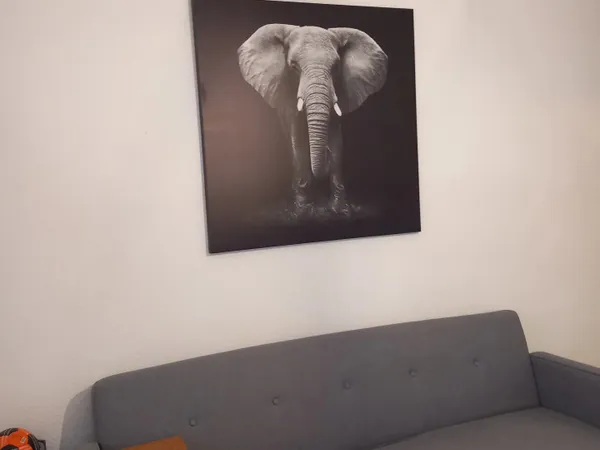 VENELLES STUDIO VIDE
