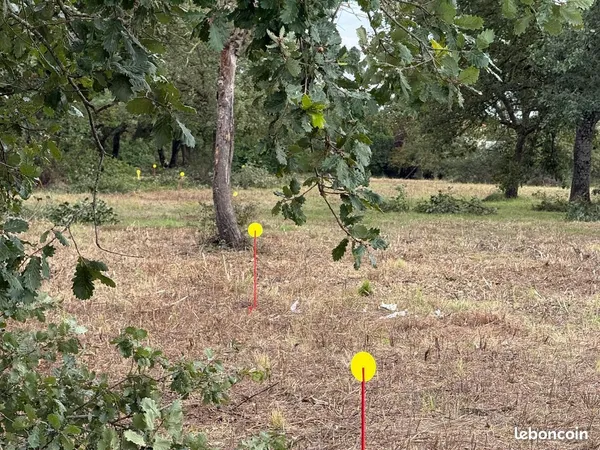 FOURTANÉ — Seysses (31600) · 10 lots vendus sur 12. Il en reste 2