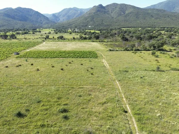 Terrain 12717 m²