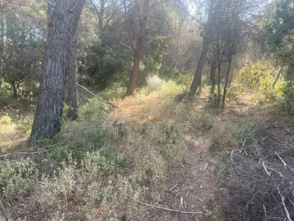 Terrain 510 m²