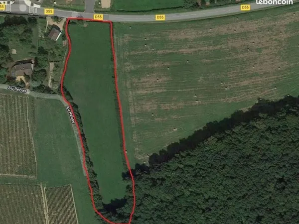 Terrain 9 344 m² Lugny