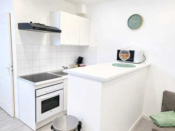 Appartement meublé et rénové à vendre- 2 pièces (21)