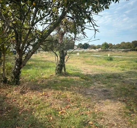 Il s'agit d'un projet de future DP sur la commune de Saumos 33680 un terrain de 1285 m² dont 800 m² 