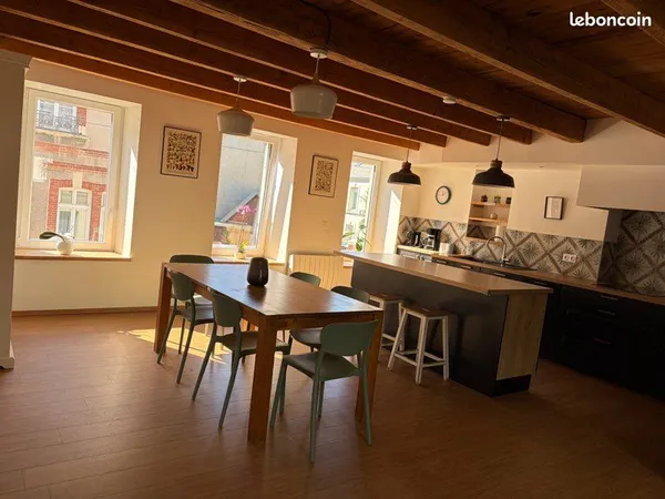 Grand et bel appartement quartier Pasteur