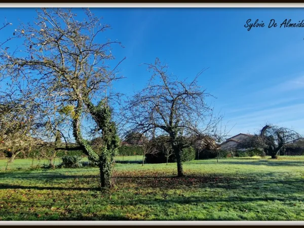 Terrain + maison Vente Feillens   120000€