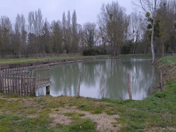 Plan d'eau Vente Colombiers  6600m² 38000€