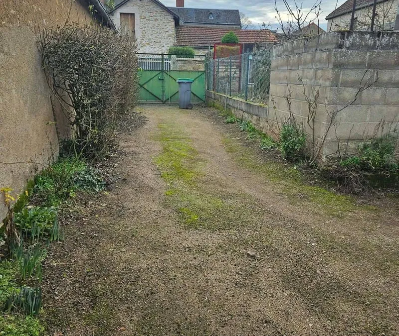 Photo 11