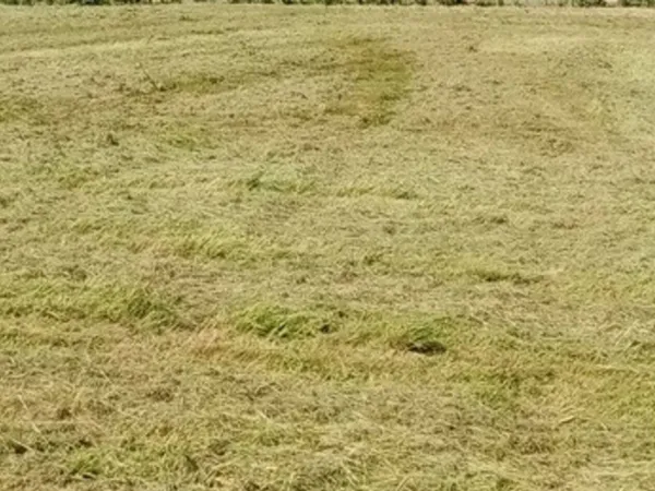Terrain 23800 m²