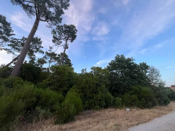 Vends terrain constructible 910m2 - Bassin d'Arcachon (33)