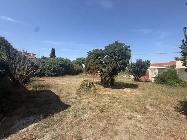 Terrain 800 m²