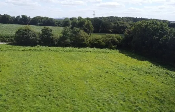Terrain en individuel 671 m²