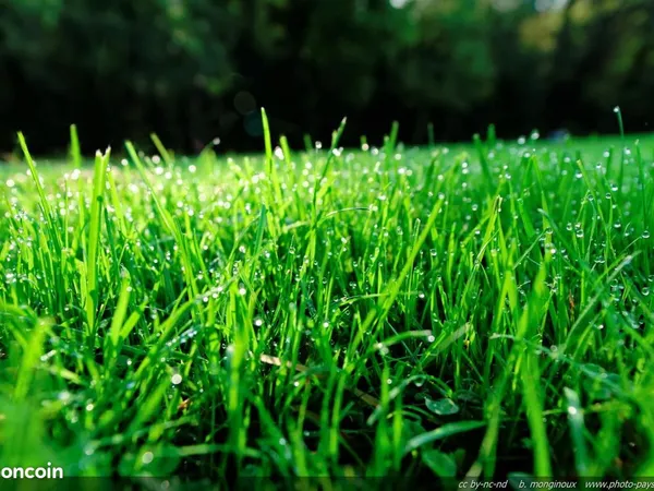 Terrain 350 m² Traubach Le Bas