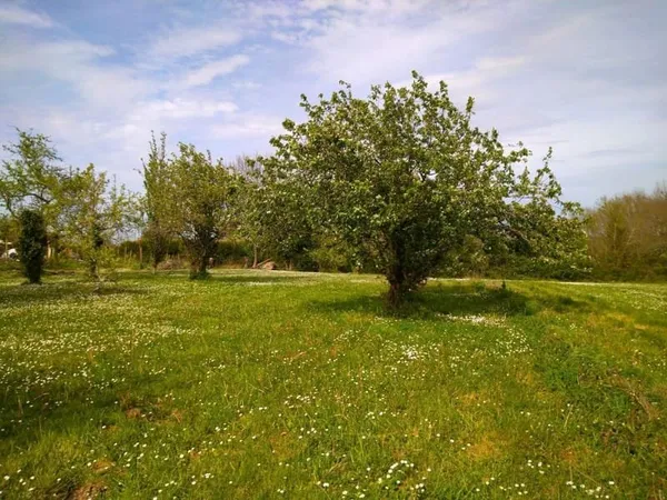 Créon Terrain de 1240 M2