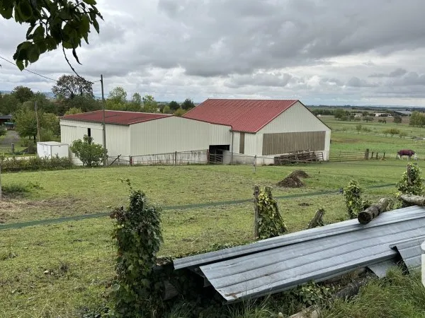 Terrain 6262 m²