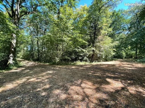 Terrain 299300 m² Alençon
