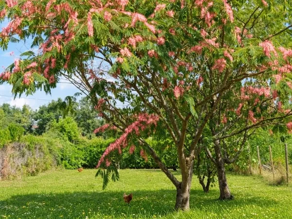 Terrain 570 m²