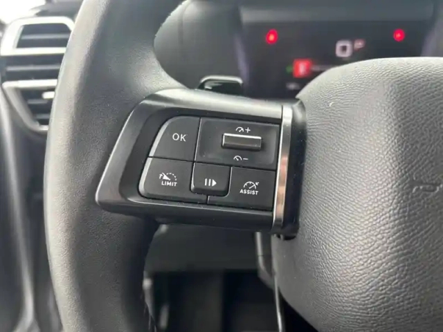 Citroën C4 puretech 130 s&amp;s eat8 — photo 19