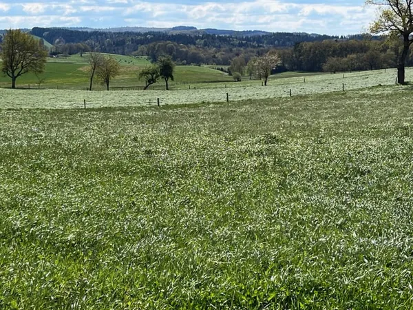 Terrain 1500 m²