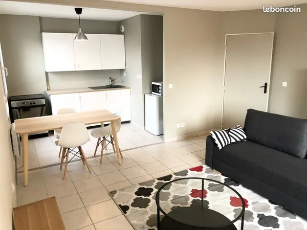 2 pièces 50m2 meublé avec balcon terrasse, grand garage et cave quartier SANTY lyon 8