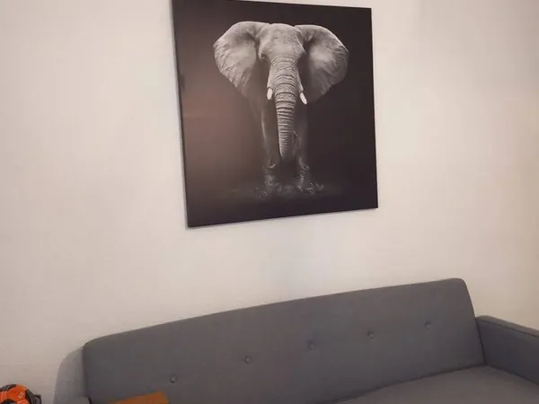 Studio 1 pièce 19 m²