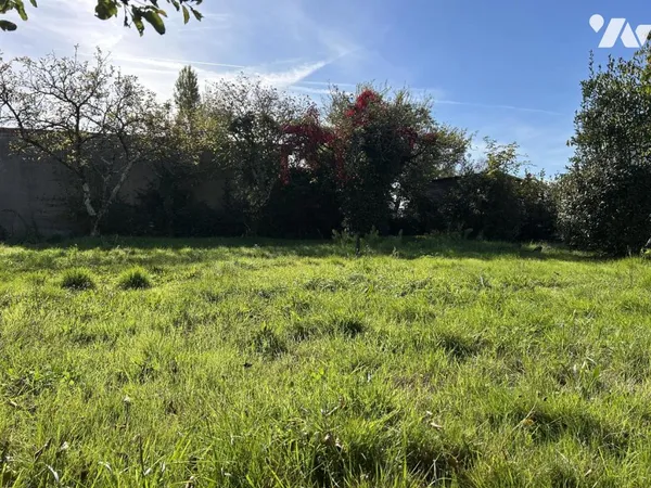 Terrain 197 m²