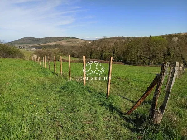Vends terrain agricole - 4320 m² - Vauxrenard 69820