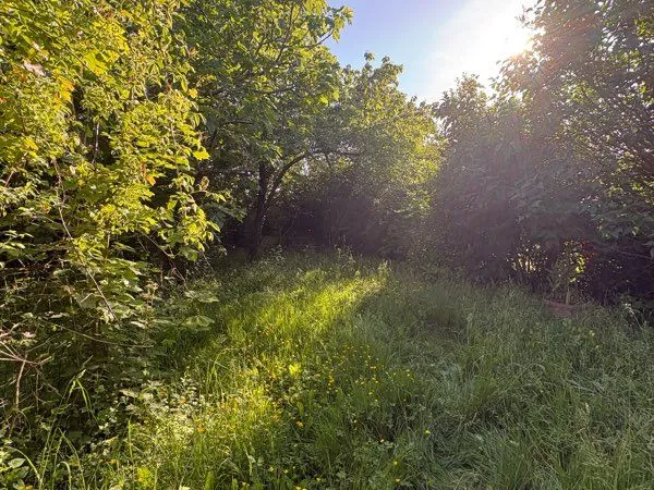 Terrain non constructible