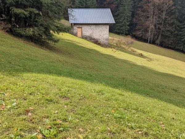 Maison 5 pièces 250 m²