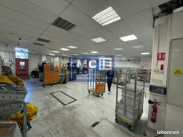 LOCAL D'ACTIVITE 642 m² LINGOLSHEIM