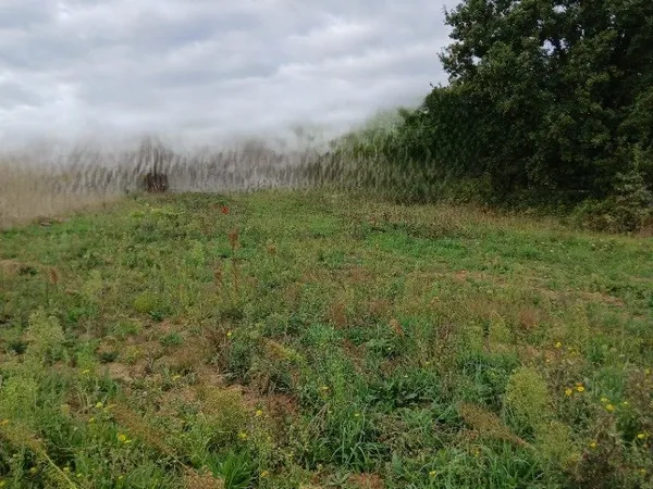 Terrain 540 m²