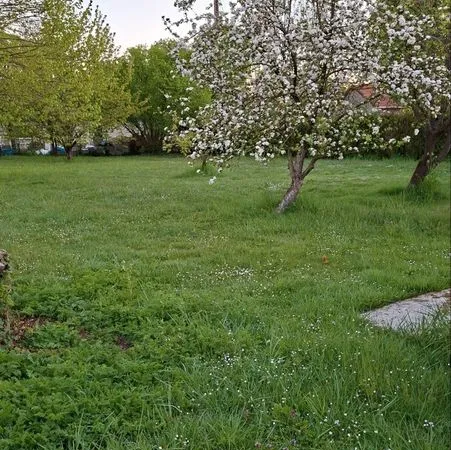 Terrain à bâtir