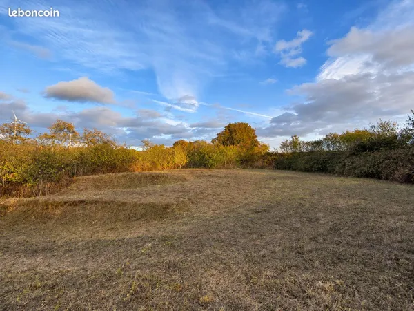 Terrain constructible