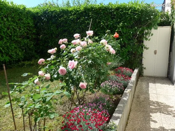 Appartement T3 avec terrasse et jardin