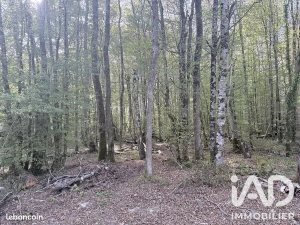 Terrain 2477 m² Sommecaise