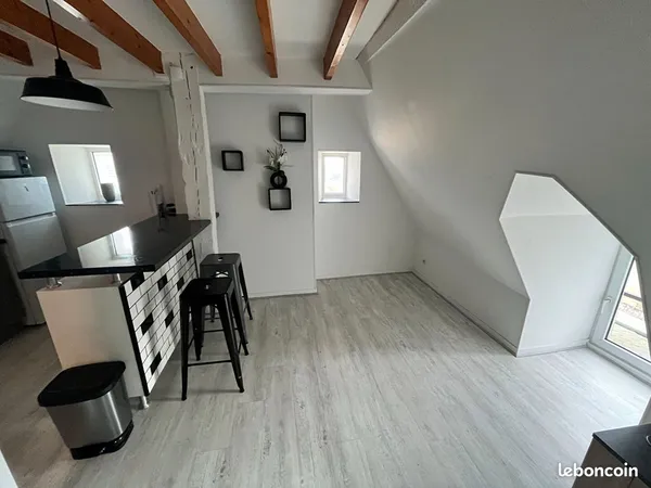 Appartement 1 pièce 20 m²
